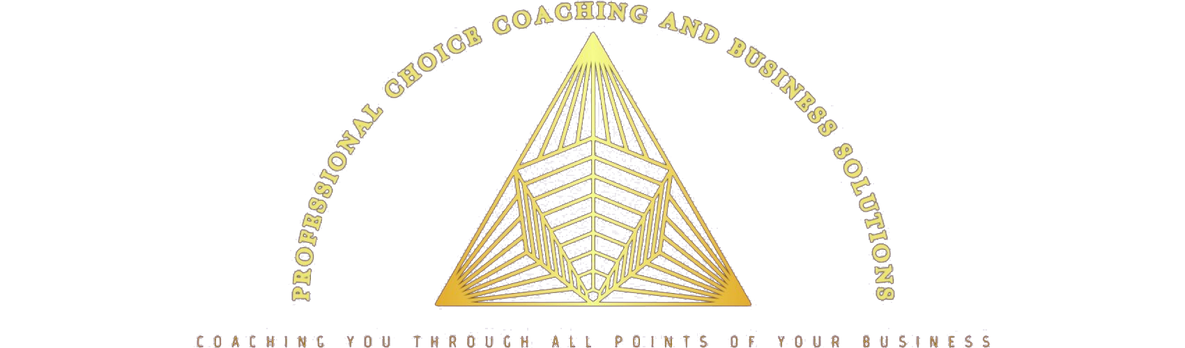 Professional Choice Coaching
